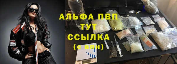 мдпв Бородино