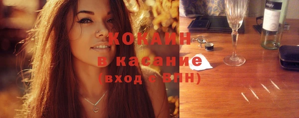 мдпв Бородино