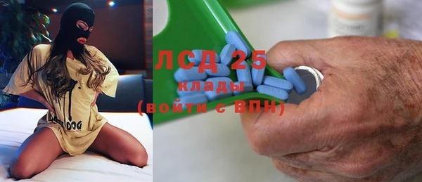 мдпв Бородино