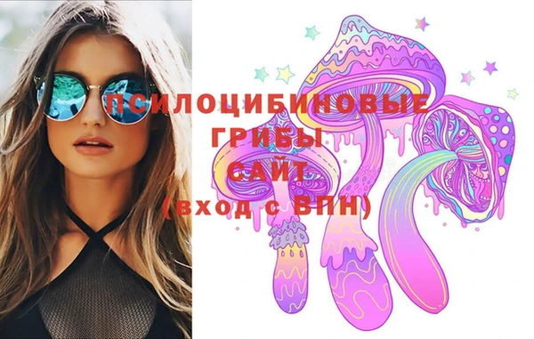 мдпв Бронницы
