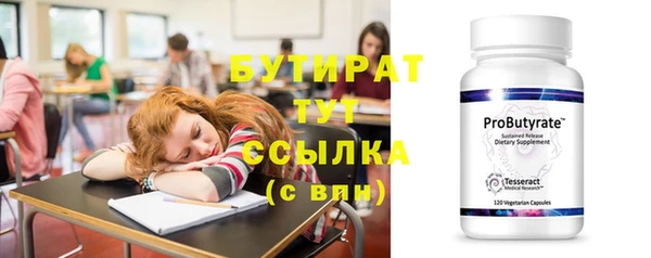 мдпв Бородино