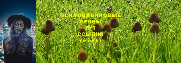 бутират Бугульма