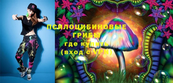мдпв Бородино