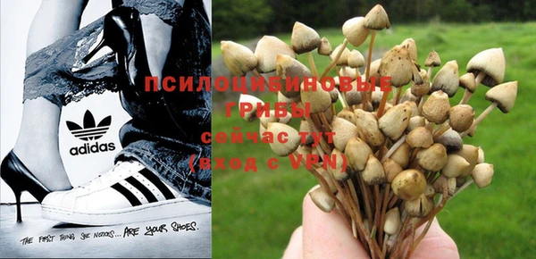 бутират Бугульма