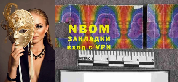 мдпв Бородино