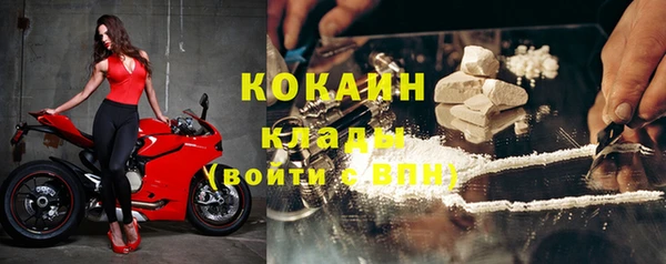 мдпв Бородино