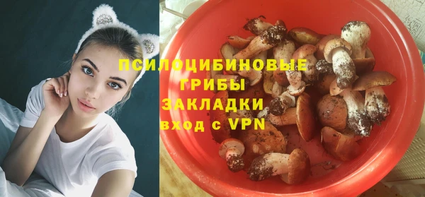 мдпв Бородино