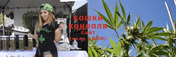 мдпв Бородино