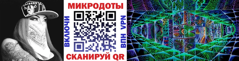 Галлюциногенные грибы Psilocybine cubensis  Купить  Высоцк 